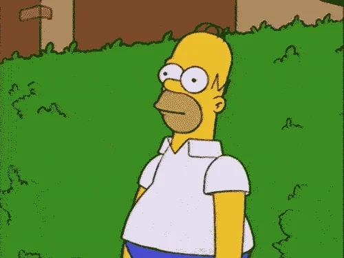 homer.webp